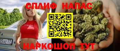тгк Новозыбков