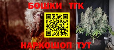 тгк Новозыбков